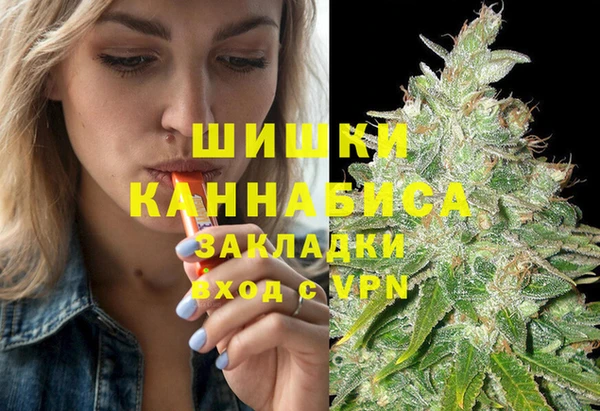 соль ск Алзамай